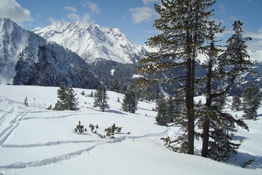 Ferienwohnungen Kroll - Appartements Viktoria Und Landhaus Maria Mayrhofen Dış mekan fotoğraf