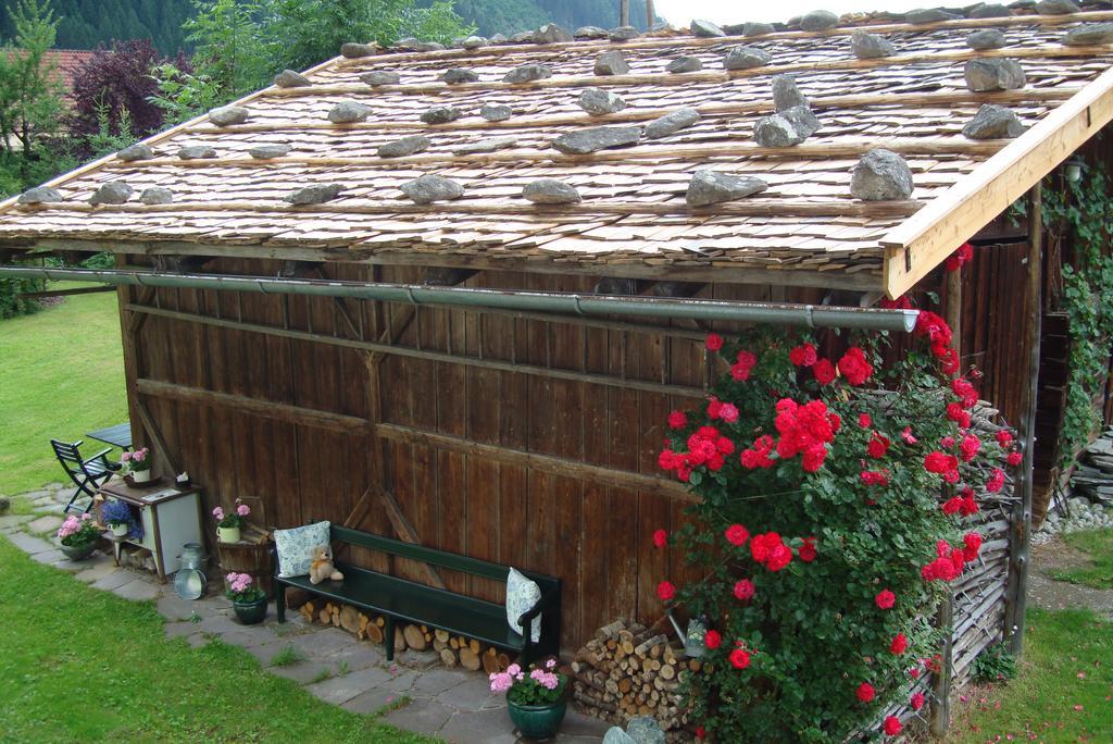 Ferienwohnungen Kroll - Appartements Viktoria Und Landhaus Maria Mayrhofen Dış mekan fotoğraf