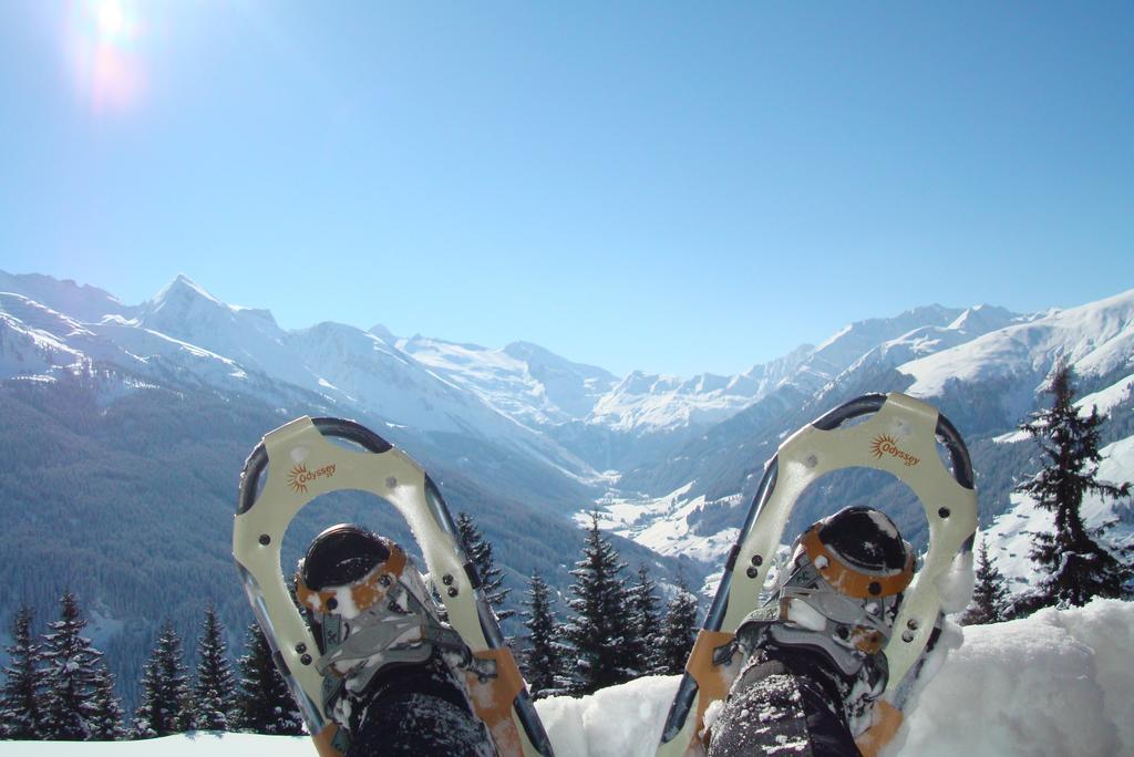 Ferienwohnungen Kroll - Appartements Viktoria Und Landhaus Maria Mayrhofen Dış mekan fotoğraf