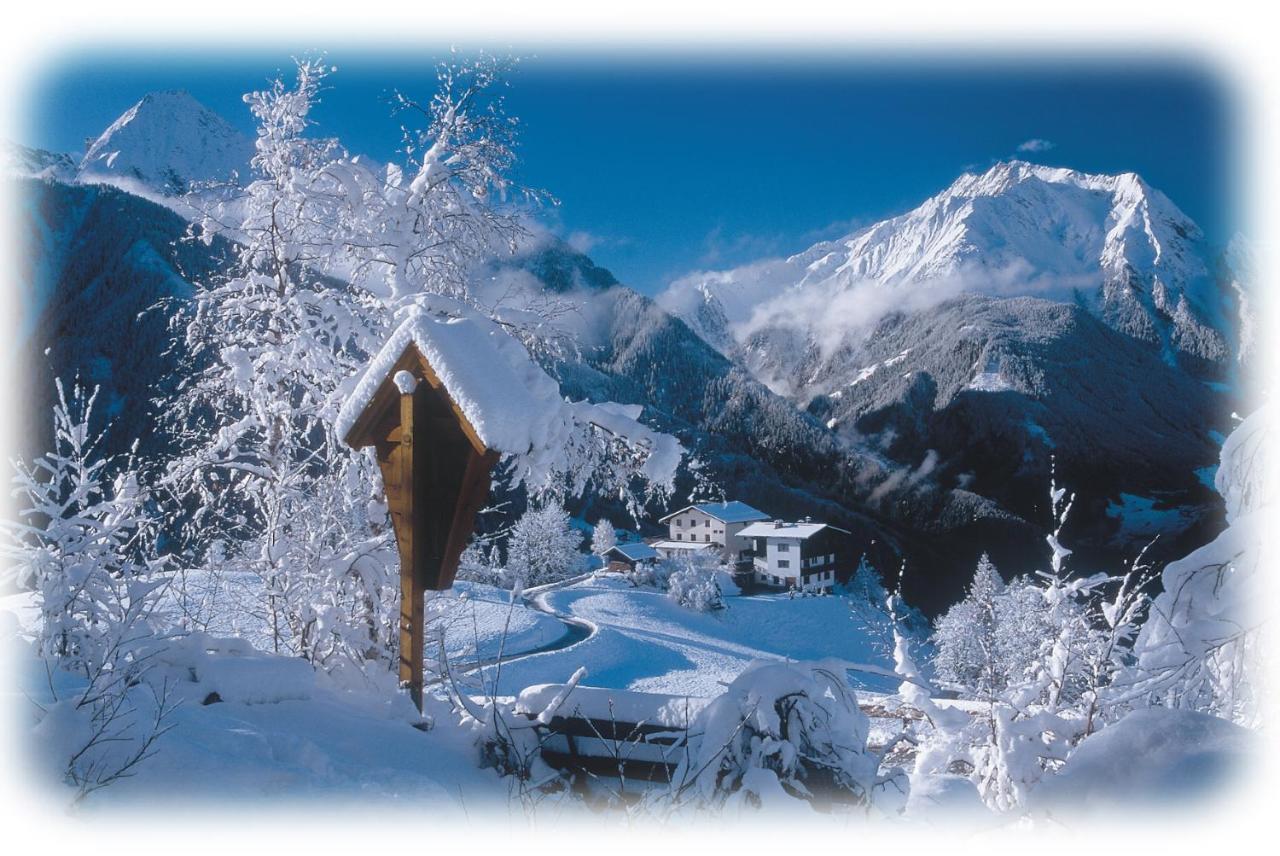 Ferienwohnungen Kroll - Appartements Viktoria Und Landhaus Maria Mayrhofen Dış mekan fotoğraf