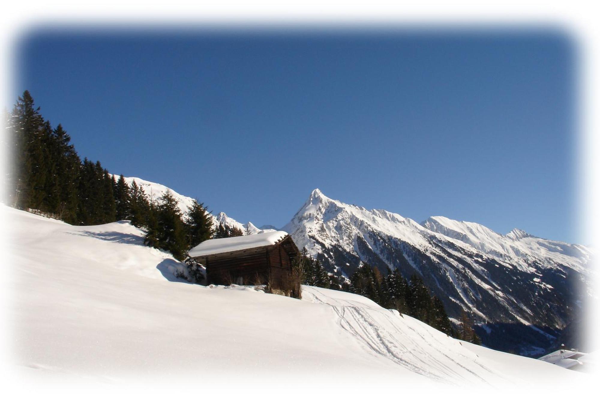 Ferienwohnungen Kroll - Appartements Viktoria Und Landhaus Maria Mayrhofen Dış mekan fotoğraf